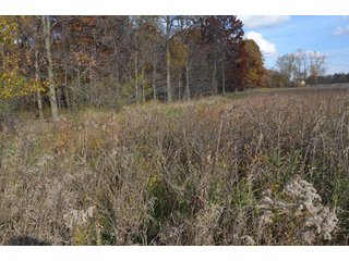 Property photo 71 - 127 Acres Offered in 8 Tracts - Allen & Dekalb County Land